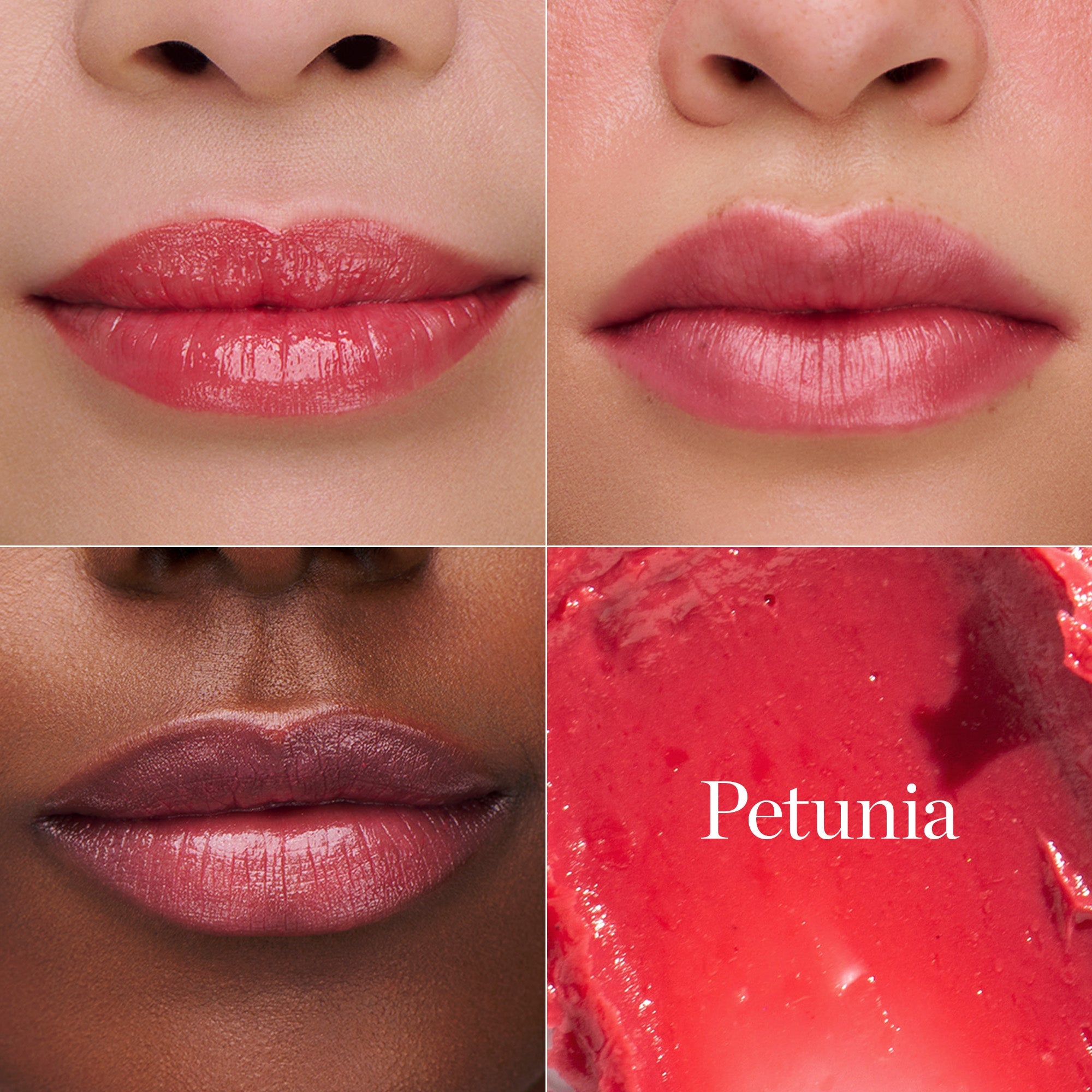 Tinted Sculpted Lip Oil