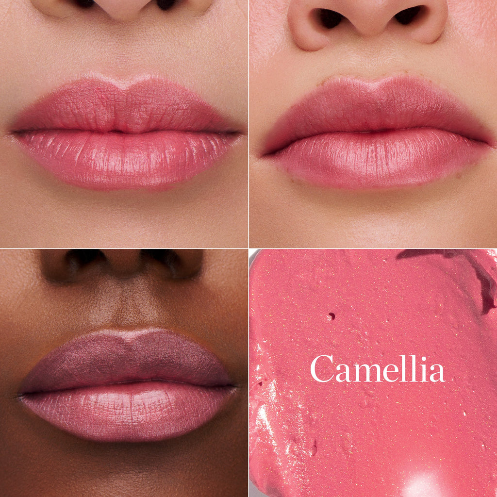 Tinted Sculpted Lip Oil