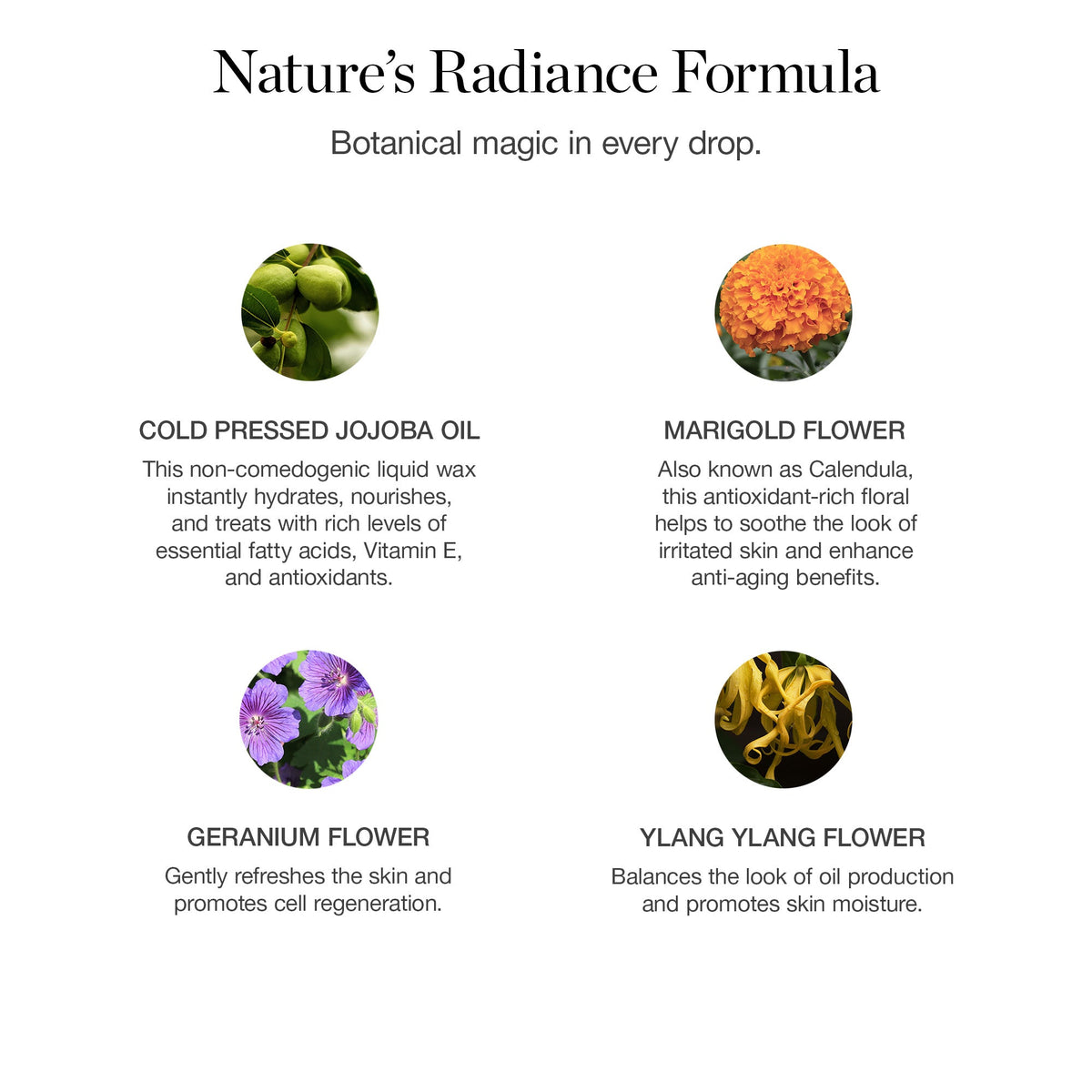 Jojoba Glow Face Oil