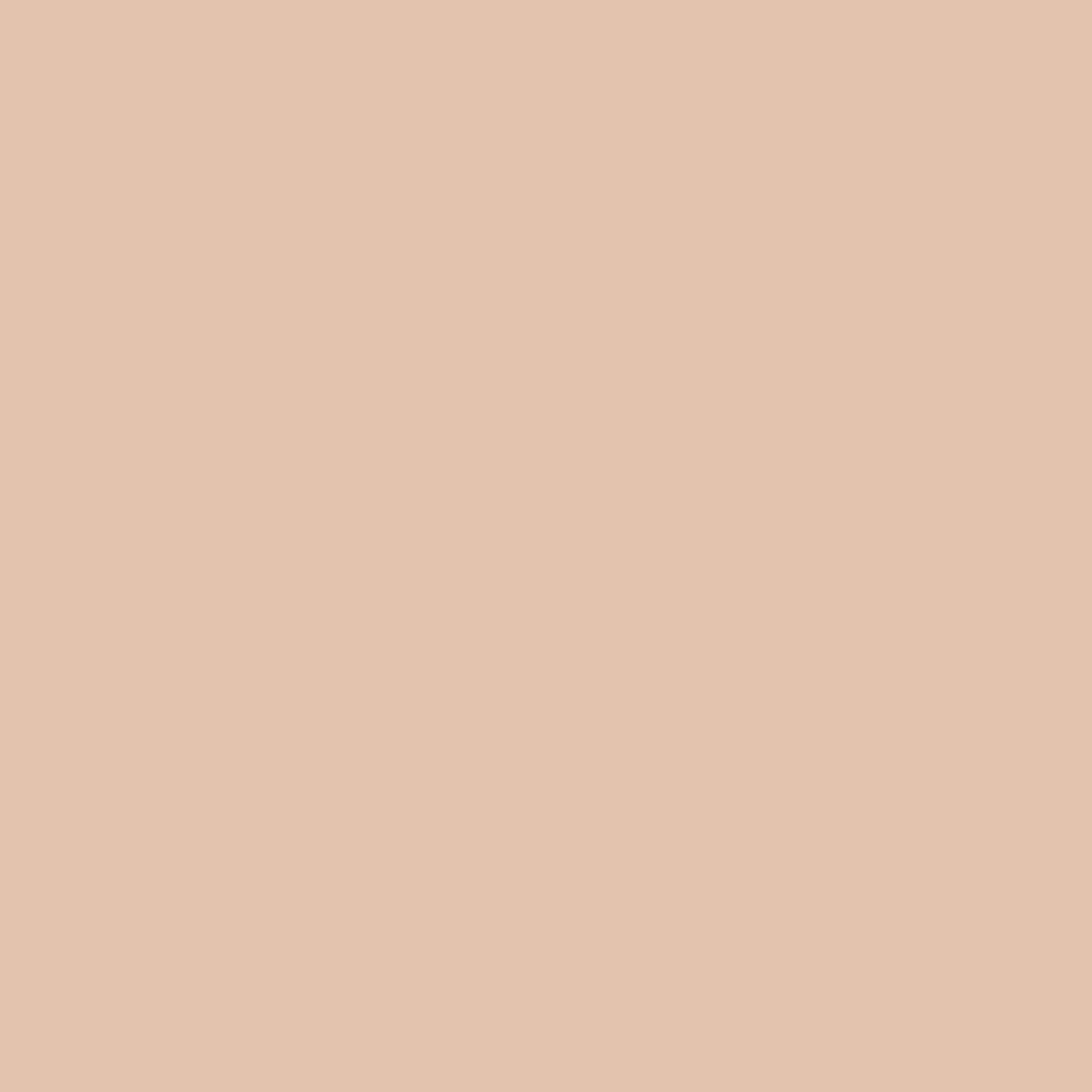 Complexion Perfecting Setting Powder