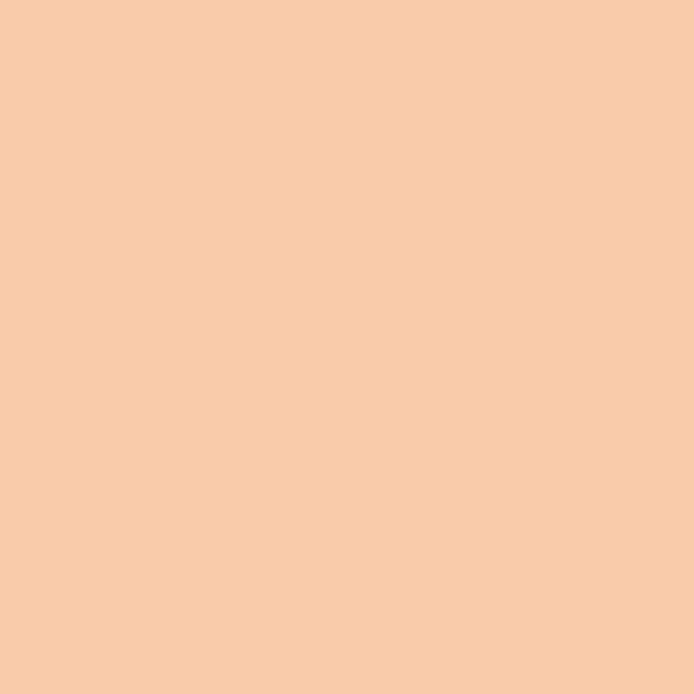 Complexion Perfecting Setting Powder